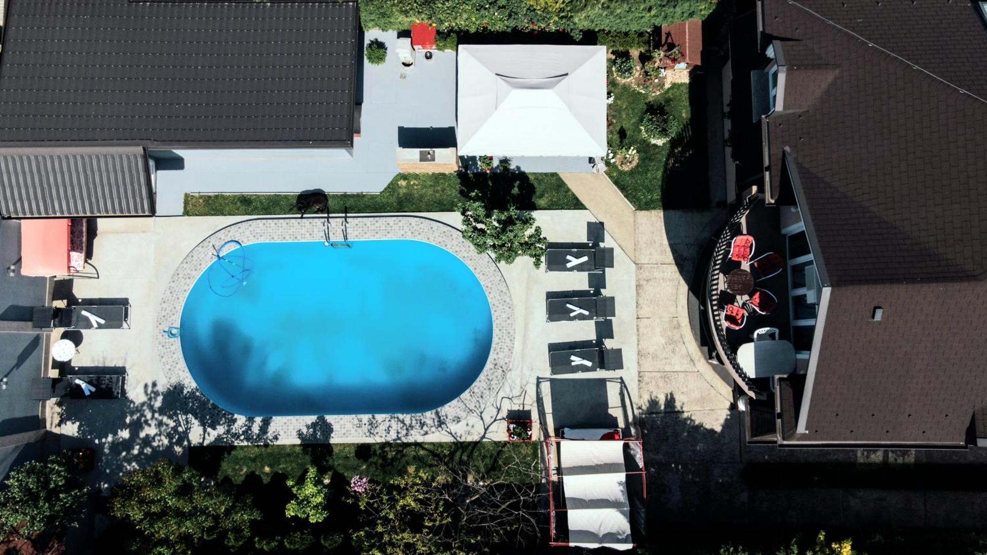 Lux Apartments With Pool Dex Zemun Polje Exterior photo